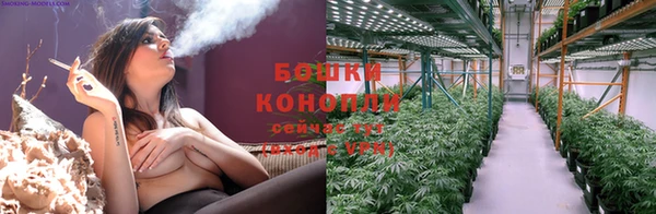 прущие грибы Беломорск