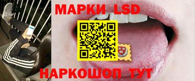 ECSTASY Камышлов