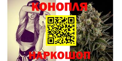 ECSTASY Камышлов