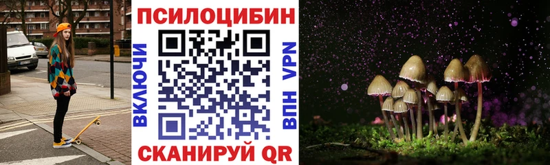 Псилоцибиновые грибы Psilocybine cubensis Коммунар