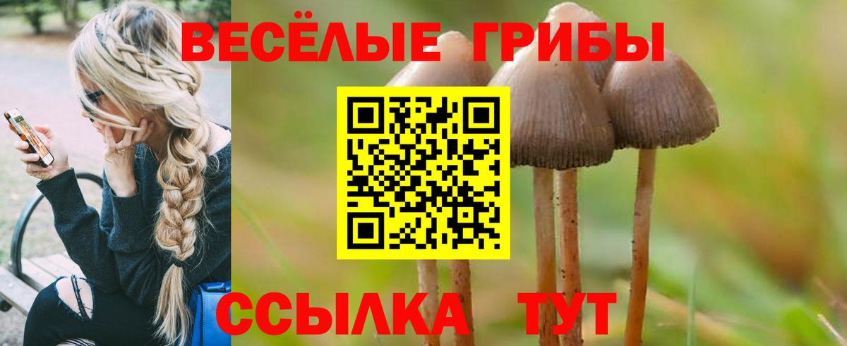 закладки  Галлюциногенные грибы ЛСД  Вход с VPN  Коммунар 