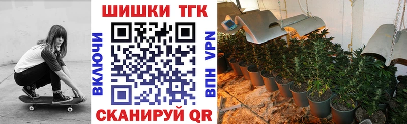 закладки  Коммунар  Бошки Шишки семена 
